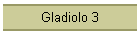 Gladiolo 3