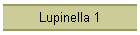 Lupinella 1