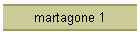 martagone 1