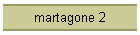 martagone 2
