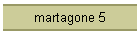 martagone 5