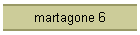 martagone 6