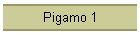 Pigamo 1