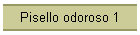 Pisello odoroso 1