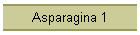Asparagina 1