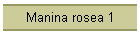 Manina rosea 1