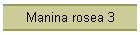 Manina rosea 3