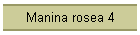 Manina rosea 4