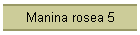 Manina rosea 5