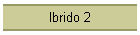 Ibrido 2