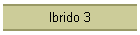 Ibrido 3