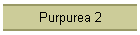 Purpurea 2