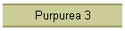 Purpurea 3