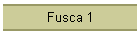 Fusca 1