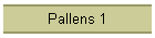 Pallens 1