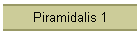 Piramidalis 1
