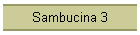Sambucina 3