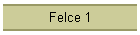 Felce 1