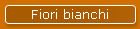 Fiori bianchi