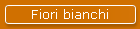 Fiori bianchi