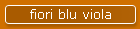 fiori blu viola