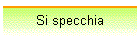 Si specchia