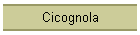 Cicognola
