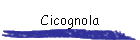 Cicognola