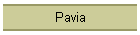 Pavia