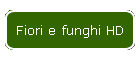 Fiori e funghi HD