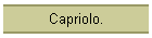 Capriolo.