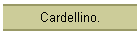 Cardellino.