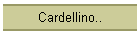 Cardellino..
