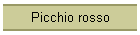 Picchio rosso