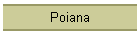 Poiana