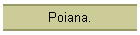 Poiana.