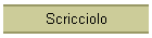 Scricciolo