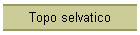 Topo selvatico