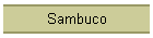 Sambuco