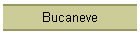 Bucaneve