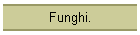 Funghi.