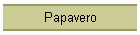 Papavero