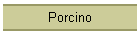 Porcino