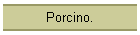 Porcino.