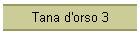Tana d'orso 3