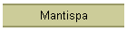 Mantispa