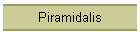 Piramidalis