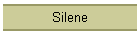 Silene