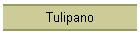 Tulipano