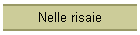 Nelle risaie